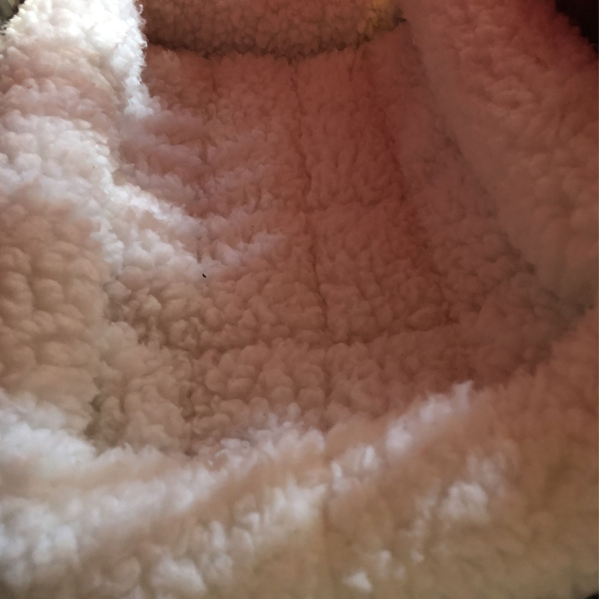 Puppy Small Dog Or Cat Pet Carrier Pet Kennel