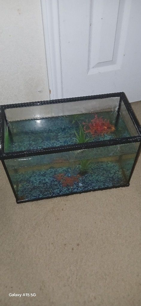 Fish Tank