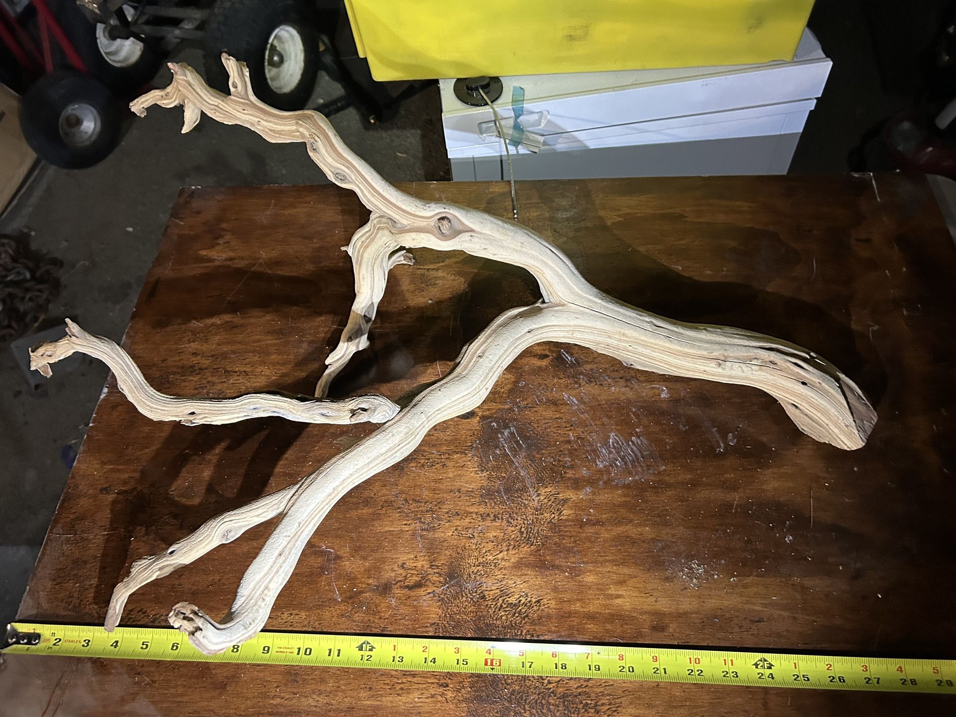 Birdcage Or Reptile Tape Sanded Mananita