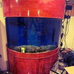 Half Moon Aquarium 140 Gallon 