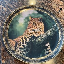 Collector plate w Certificate of authenticity