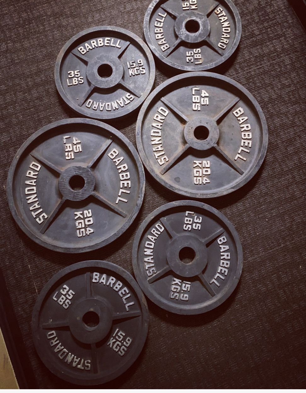 BARBELL Weight Plates 6 total 220 LBS