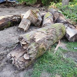 Free Firewood