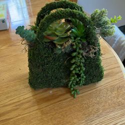 Faux Moss Bag With Succulents 