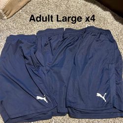 Adult Large Puma Shorts