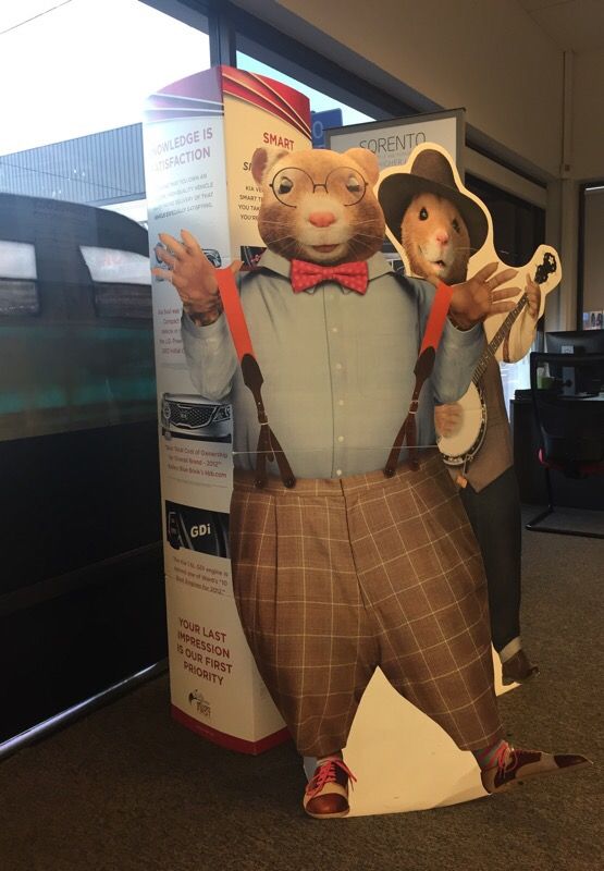 Kia Cardboard hamster