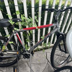 Nishiki Almosa Mountain Bike