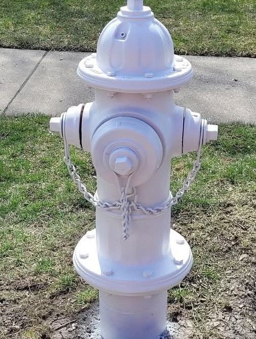 Fire Extinguisher ---Yard Art....