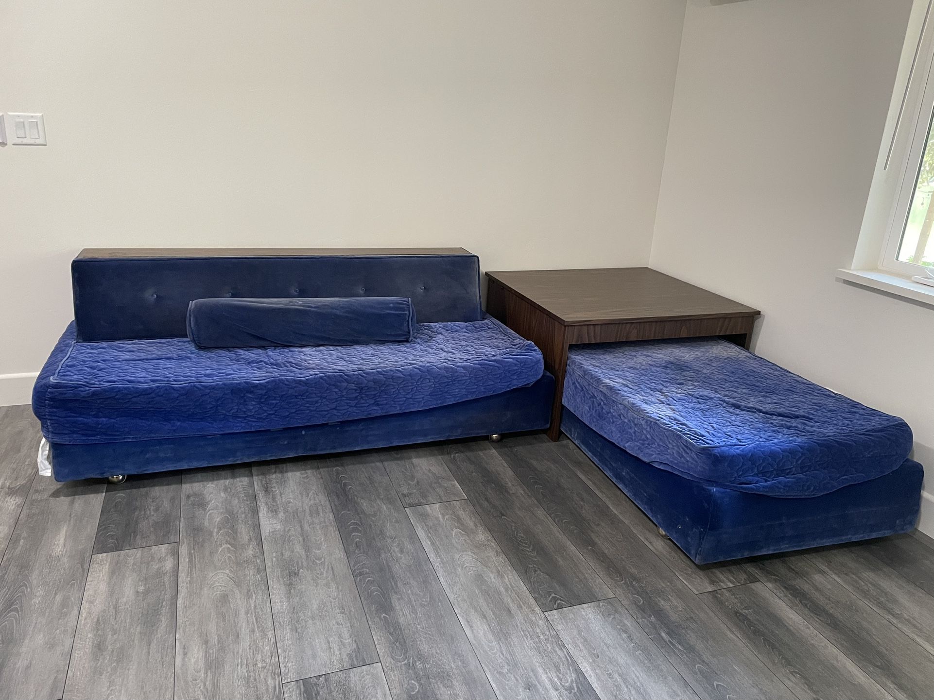 Free Sofa Bed Set: 2 Twin Rollout Beds Pick Up ASAP 