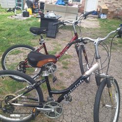 2 Step Trough Raleigh Bikes 