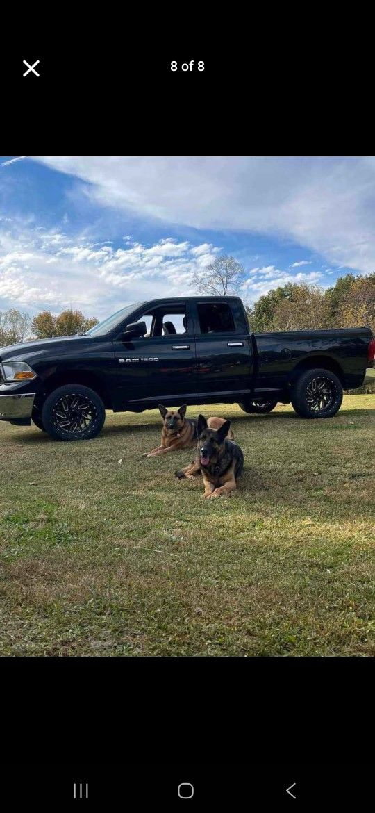 2011 Ram 1500