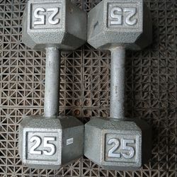 Cast Iron Dumbbells Set 25lbs