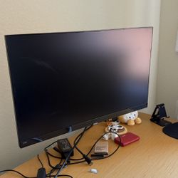 24” Phillips monitor & adjustable desk mount 