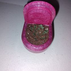 Toilet Flower Pot