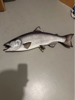 34” Trout Taxidermy Mount