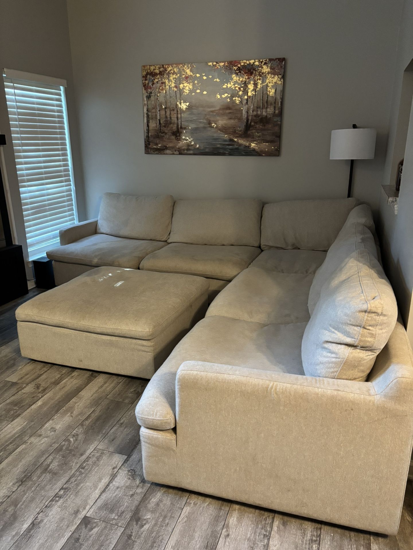 Sectional couch