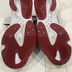 Jordan Retro 11 Lows