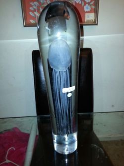 Glass jumbo jellyfish