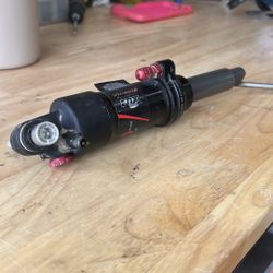 Fox Specialized Brain