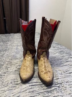 Ant eater boots