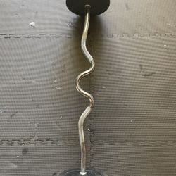 Weight Plates / Curl Bar.            80 Dollars 