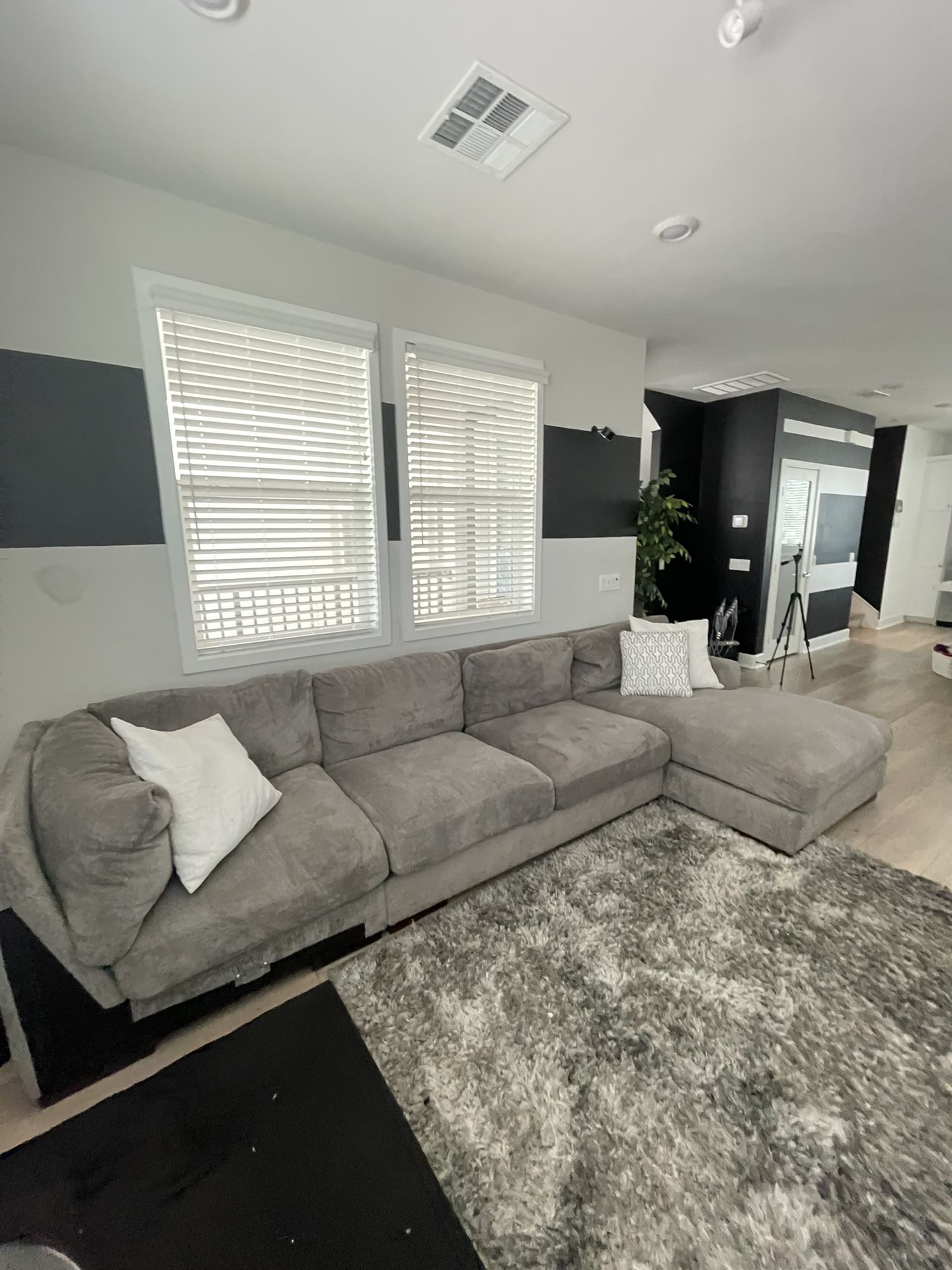 Gray Couch