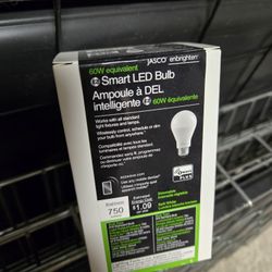 Smart LED Bulb 