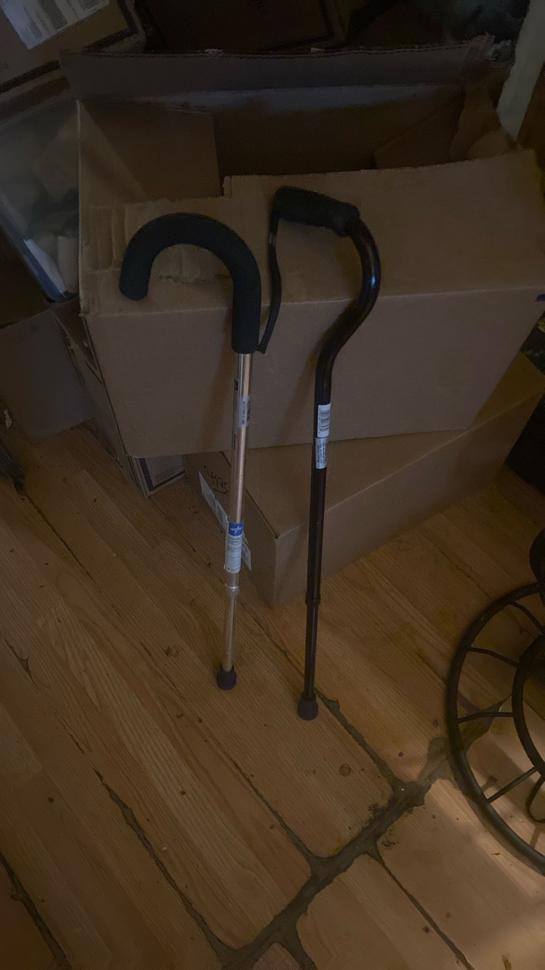 Cane