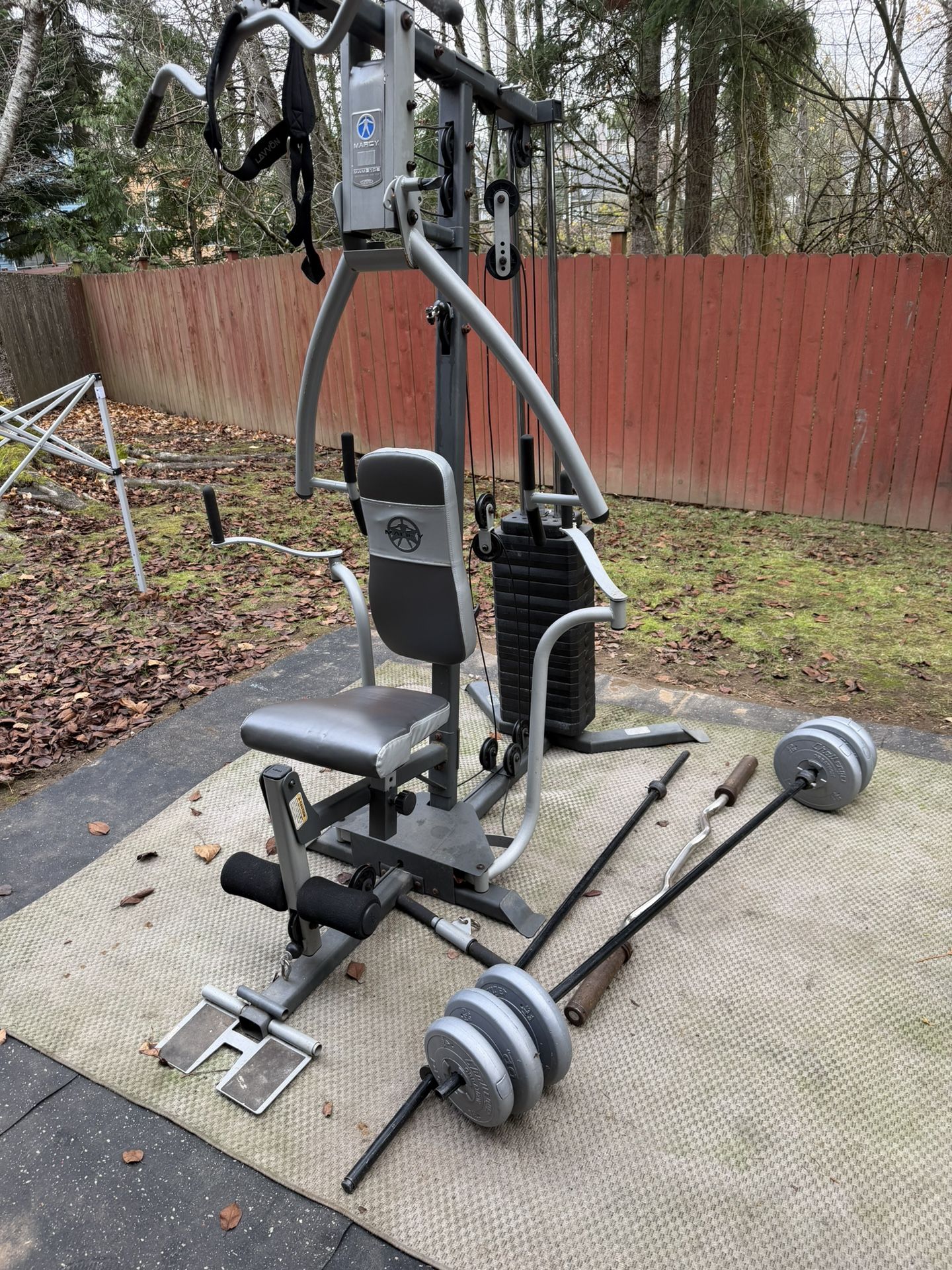 Gym Multi-gym, boxing bag and speed bag stand, weight plates and bars.