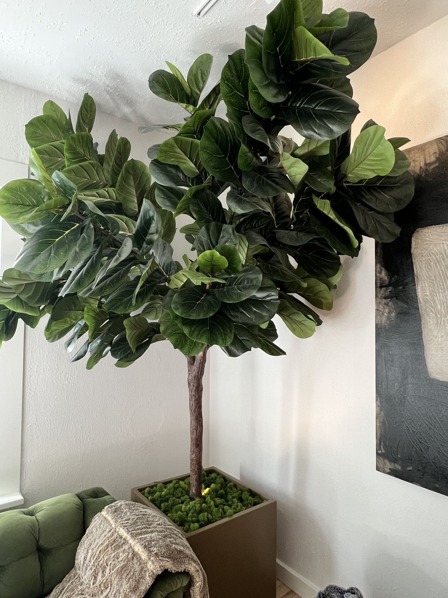 Incredible Faux Fiddle Leaf Tree - 10ft Tall