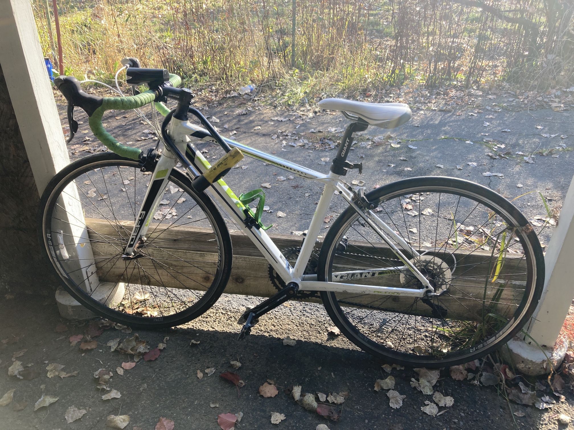 Giant Defy Women’s Racing Bike