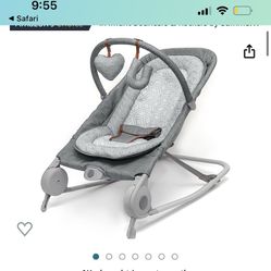 Baby Bouncer