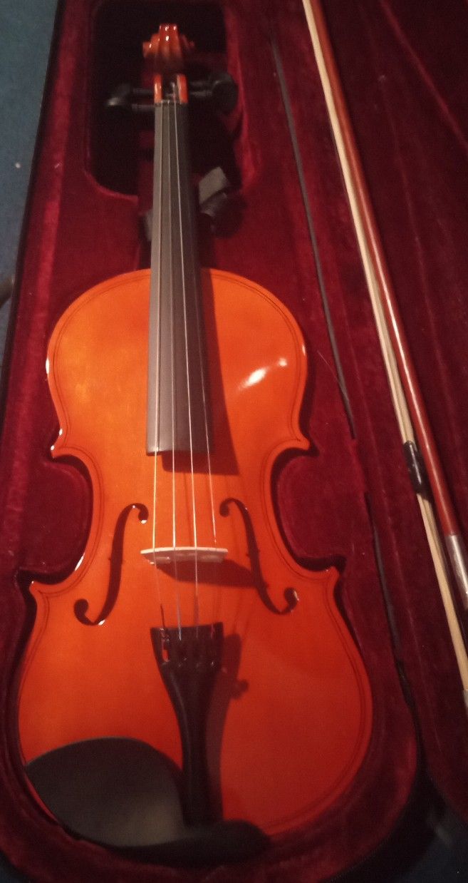 Violin