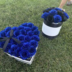 Blue Roses