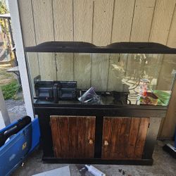 Fish Tank With Accessories 