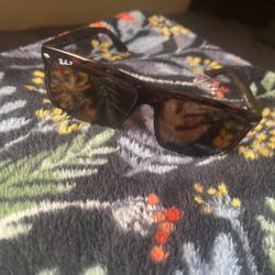 Rayban Sunglasses