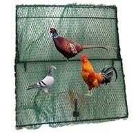  3XL Spring Domestic Bird Trap  (New In Box) Super Large Size