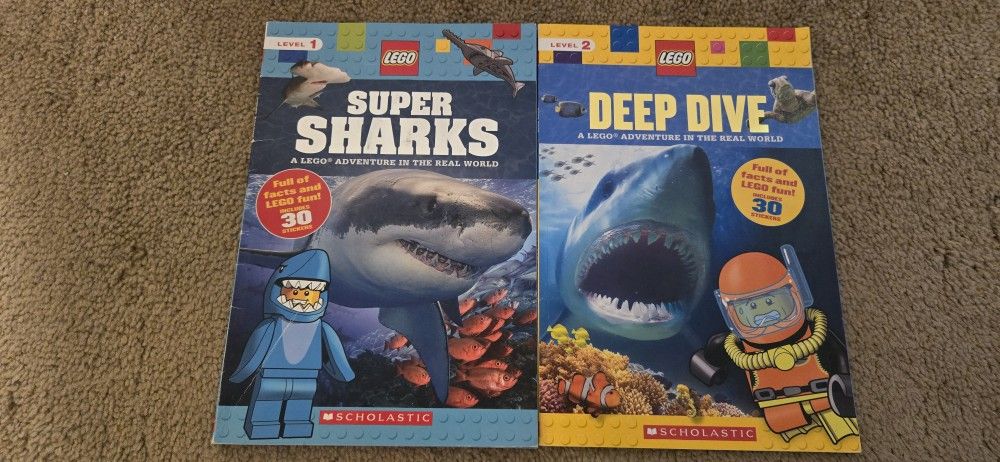 Lego Children's Book Bundle