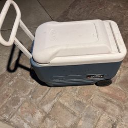 Igloo Max cold Ice Chest