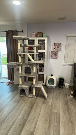 Cat tree, supplies, etc