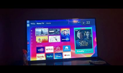 Roku 55in