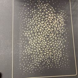 Brand new Sonos speaker picture  frame