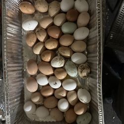 1 Dozen Farm Fresh Eggs For 4$  