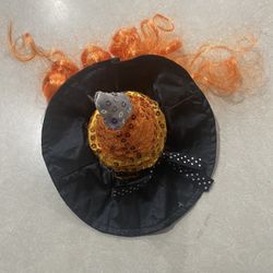 Dog Halloween Witch Hat Costume 