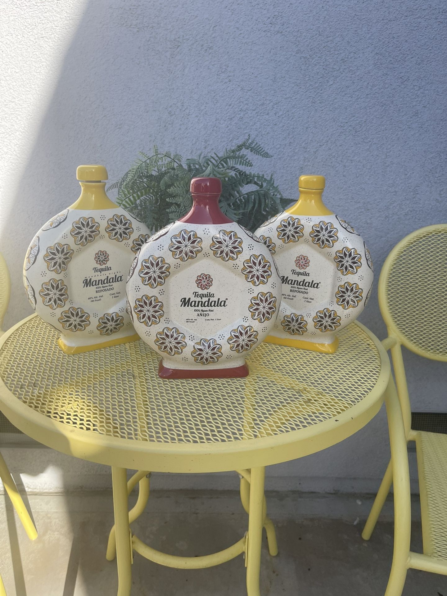 Empty Tequila bottles
