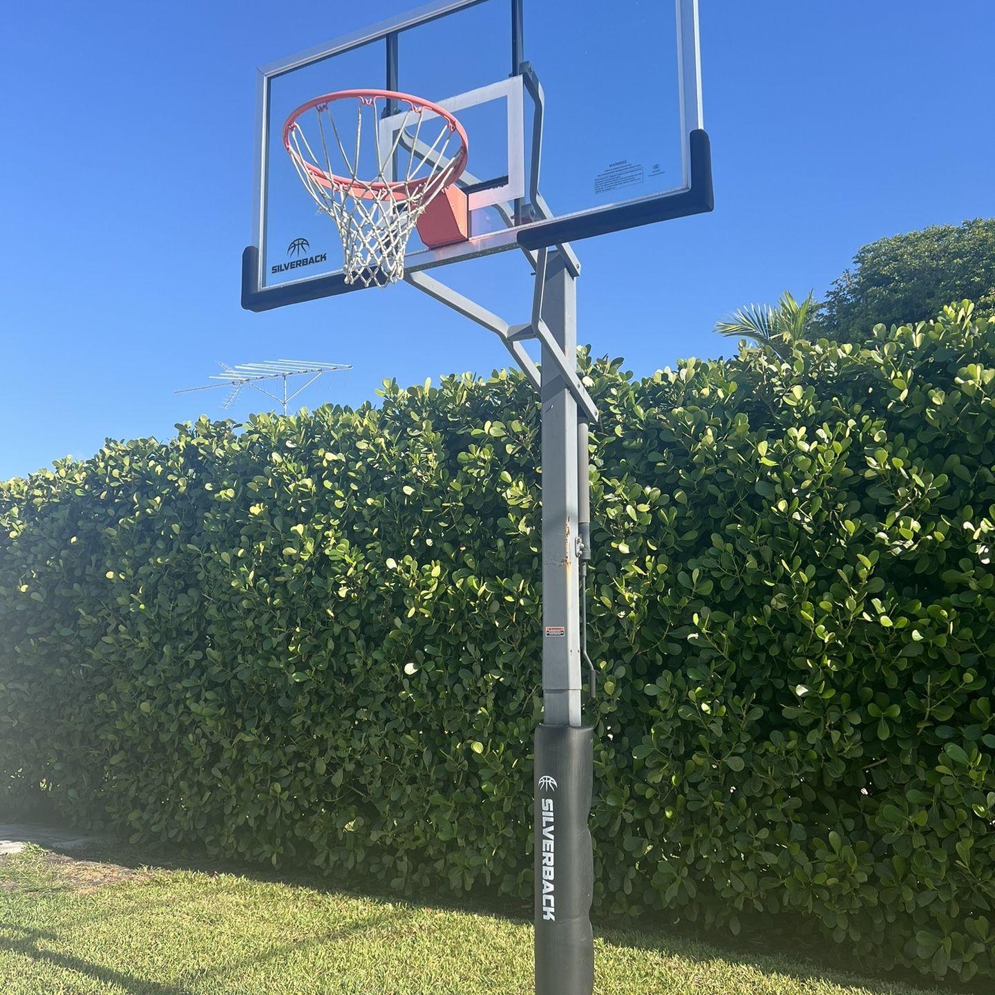 Silverback In Ground Basketball Hoop