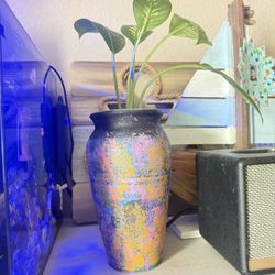 Indoor Plant With Vase 