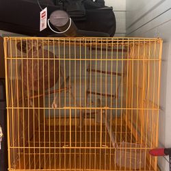 Bird Cage 
