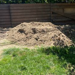 Free Soil