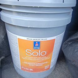 New Semi Gloss  Solo By Sherwin Williams